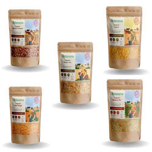 Namkeen Healthy Snacks Combo | Organic Aloo Bhujia Sev | Bhujia Sev| Masala Peanut| Boondi Raita | Free Dal Moth Namkeen