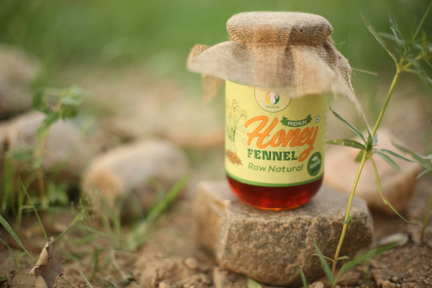 Fennel Honey | 100% Pure & Organic Honey | Unprocessed